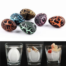 Load image into Gallery viewer, 5Pcs/set Dinosaur Eggs Water Hatching Big Inflated Eggs Cracks Growing Egg Science Educational Toys For Children
