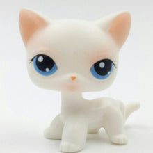 Load image into Gallery viewer, pet shop lps toys rare stands little short hair kitten pink #2291 grey #5 black #994 old original kitty  figure collection
