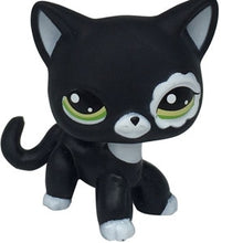 Load image into Gallery viewer, pet shop lps toys rare stands little short hair kitten pink #2291 grey #5 black #994 old original kitty  figure collection
