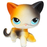 pet shop lps toys rare stands little short hair kitten pink #2291 grey #5 black #994 old original kitty  figure collection