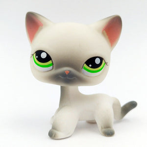 pet shop lps toys rare stands little short hair kitten pink #2291 grey #5 black #994 old original kitty  figure collection