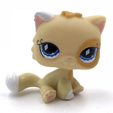 Load image into Gallery viewer, pet shop lps toys rare stands little short hair kitten pink #2291 grey #5 black #994 old original kitty  figure collection
